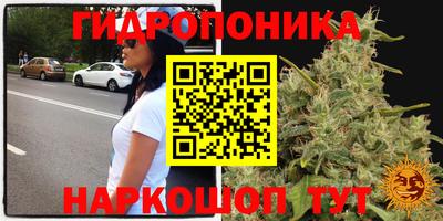 сатива Бугуруслан
