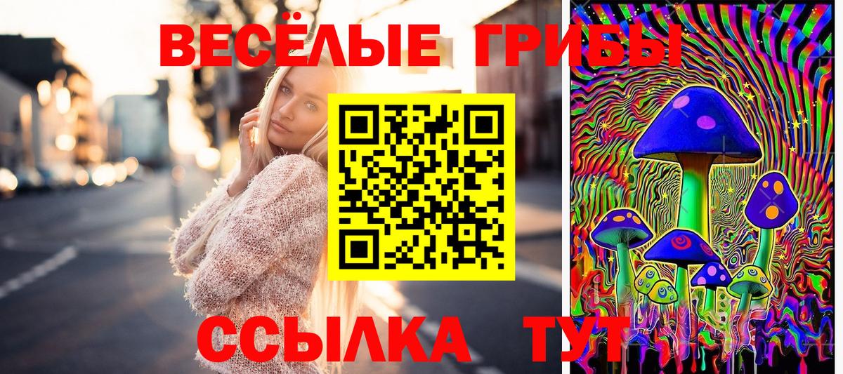 Галлюциногенные грибы GOLDEN TEACHER  Псилоцибиновые грибы Psilocybine cubensis  Нефтеюганск  Вход с VPN 